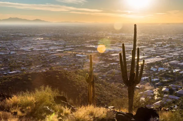 Mountain Top Phoenix